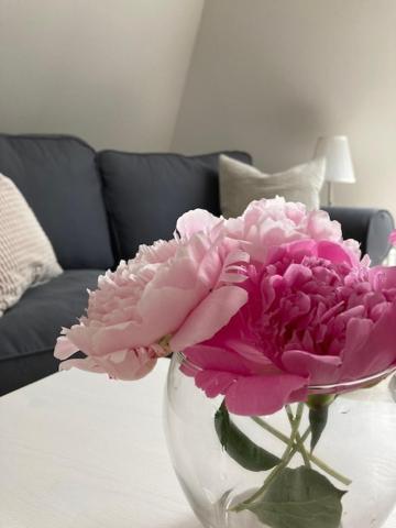 Landzauber Apartment Ferienwohnung Beiersdorf エクステリア 写真